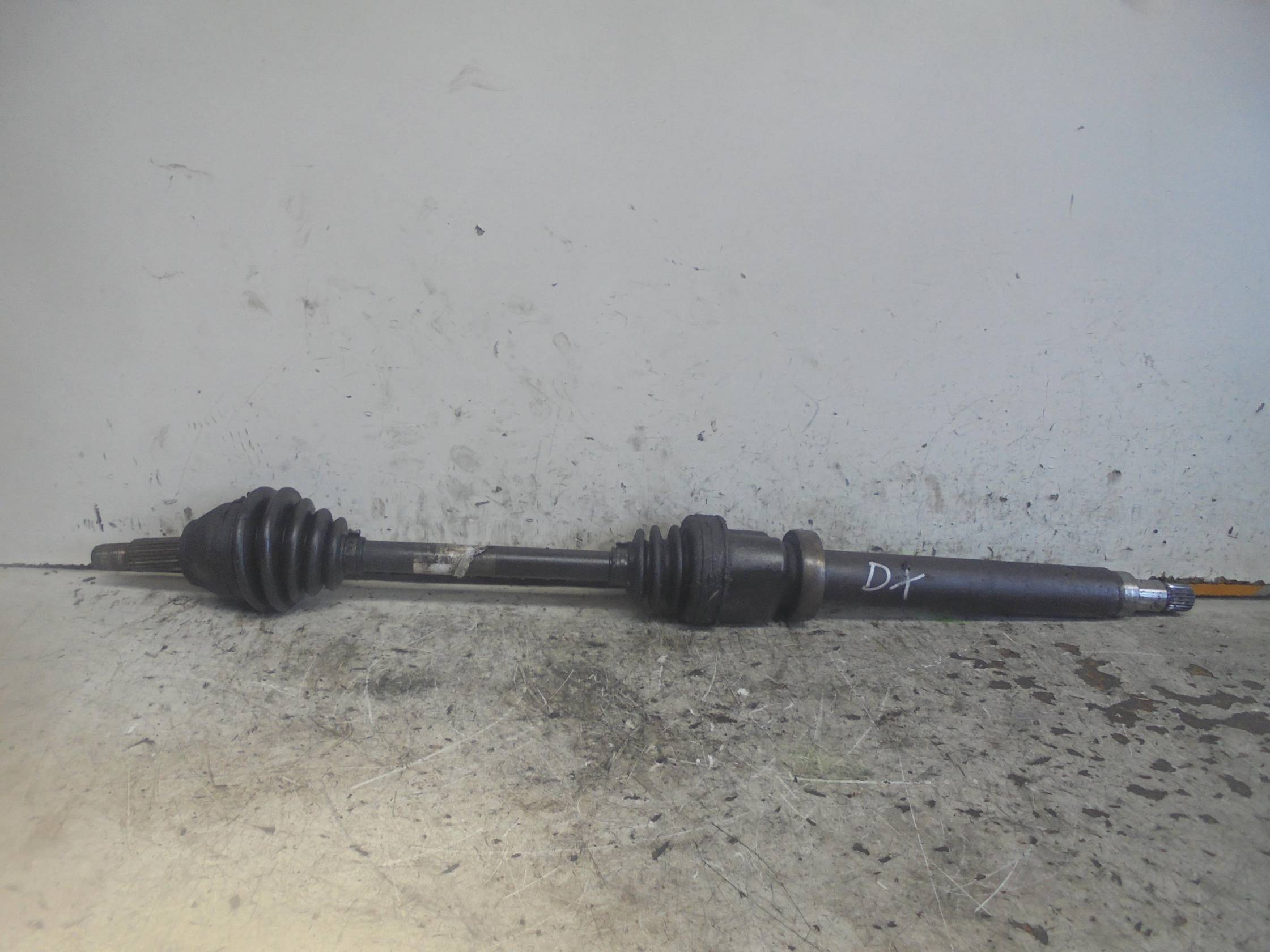 Semialbero ant. compl. dx.